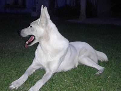 AZRA