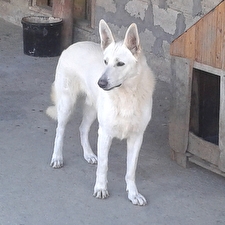 20160710_174045.jpg