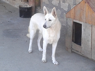 20160710_174045.jpg