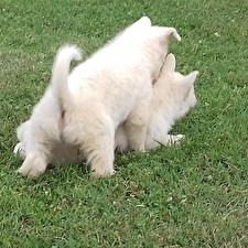 20160901_164512.jpg