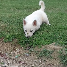 20160901_164527.jpg