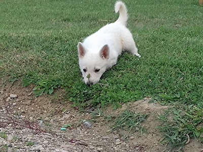 20160901_164527.jpg