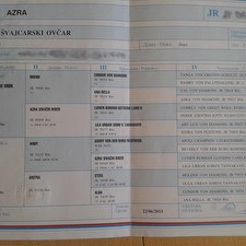 azra.jpg